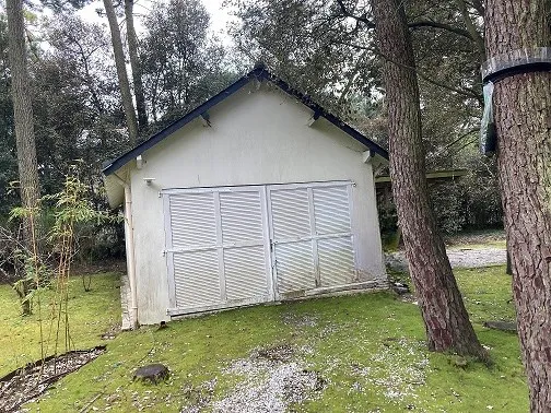 before-image